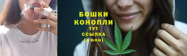 сатива Бронницы