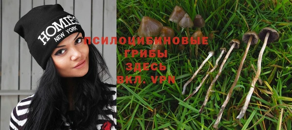 сатива Бронницы