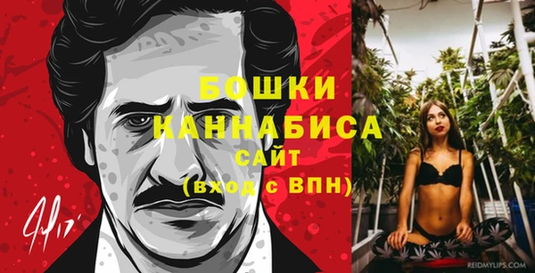 сатива Бронницы